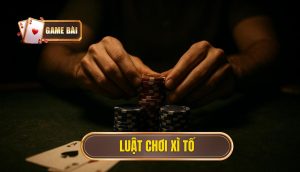luật chơi xì tố