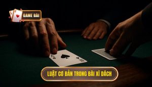 luật cơ bản trong bài xì dách